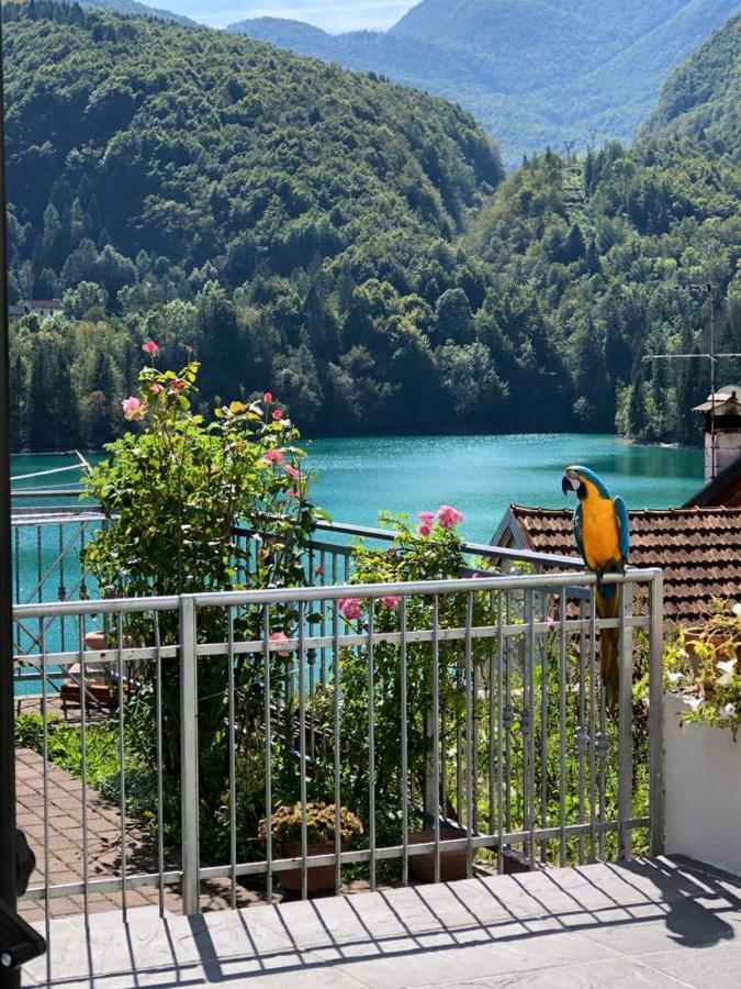 Apartamento Belvedere